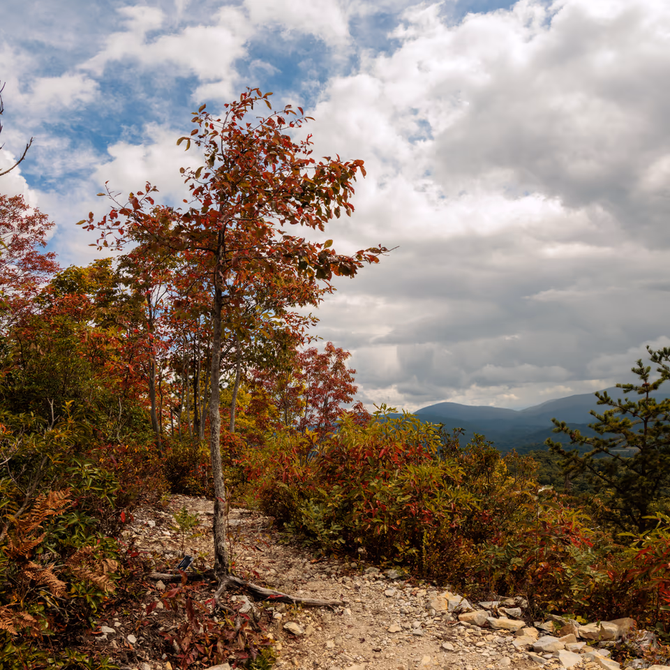 6d2a1821-pano